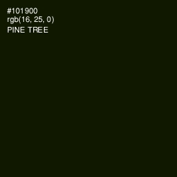 #101900 - Pine Tree Color Image